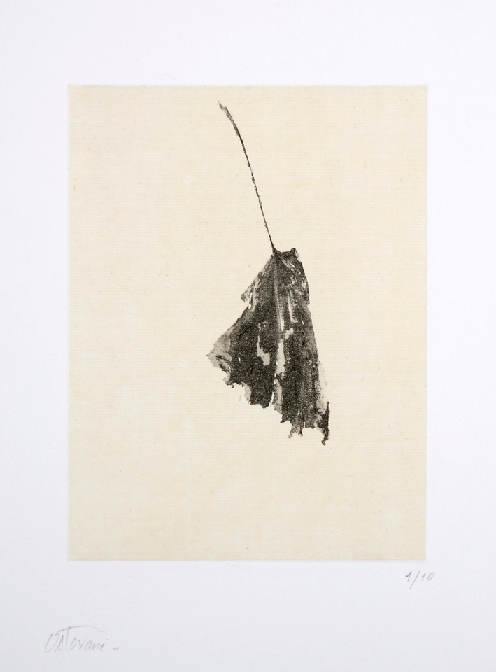 Farhad Ostovani, Feuille, 2012