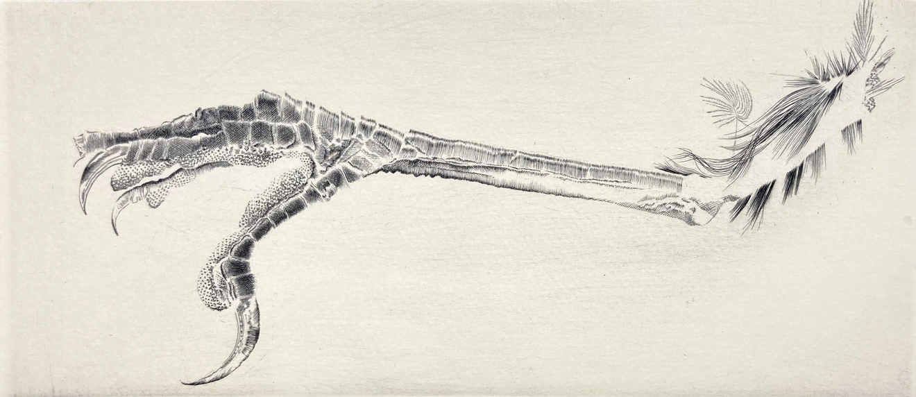 Jacques Muron, Nevermore, 2011