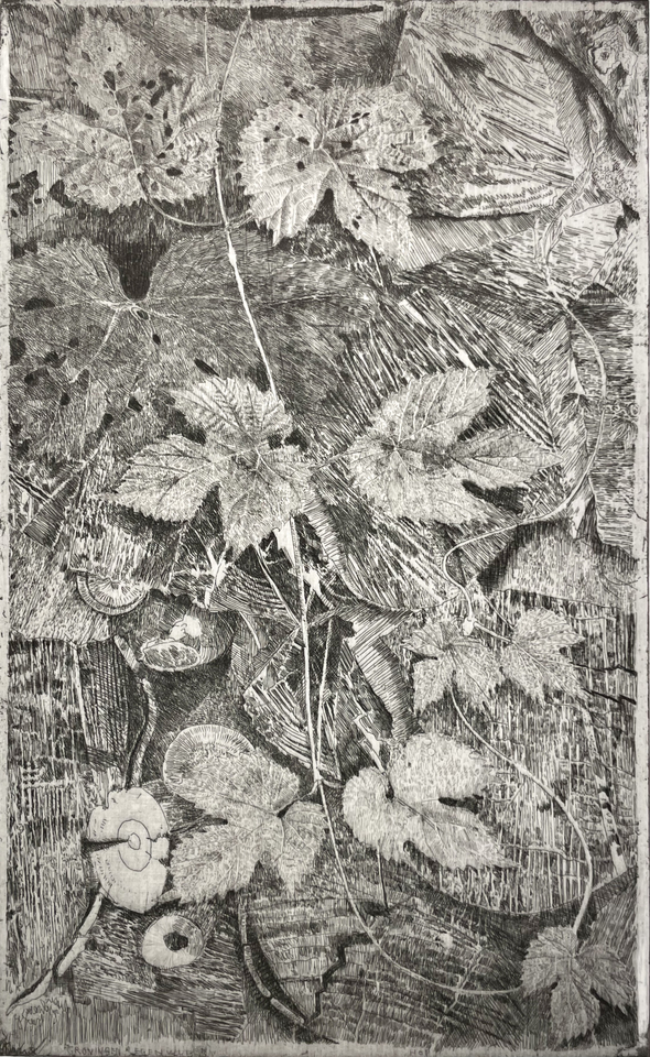 Charles Donker, Hop XVIII (Groningen regenwulpen), 2025