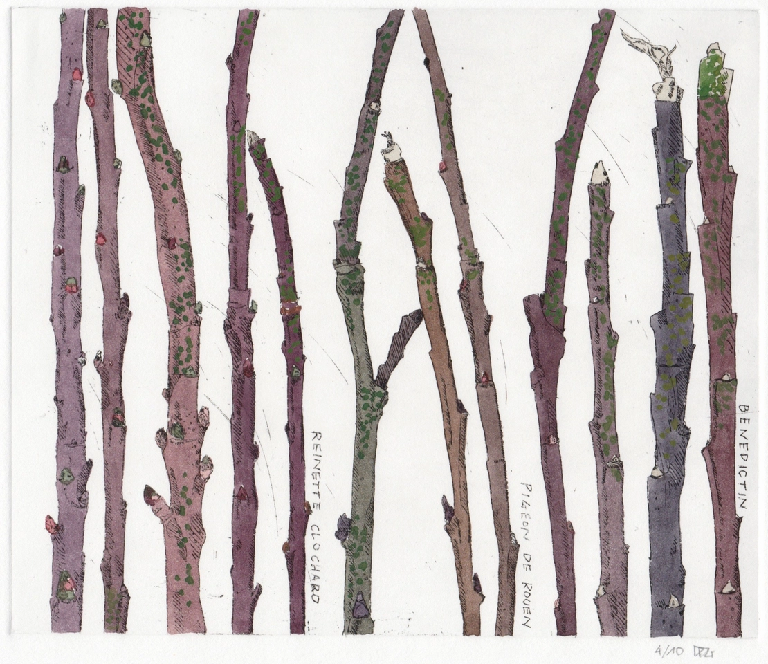 Delphine D. Garcia, 11.II.15, 2015