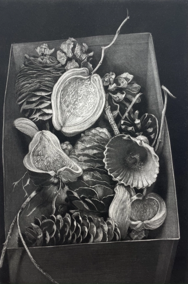 Judith Rothchild, Histoires naturelles, 2012