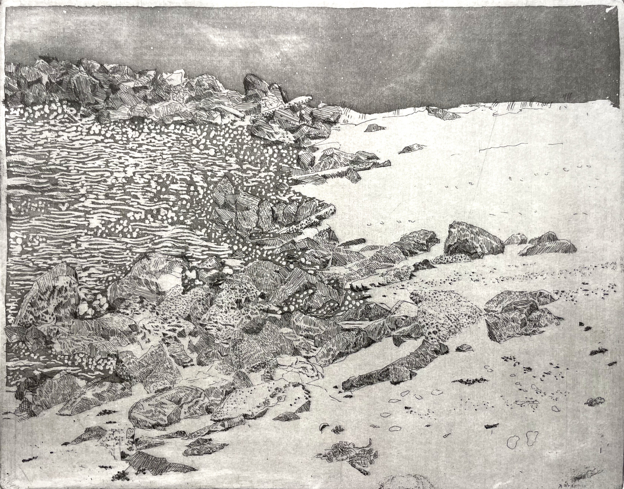 Charles Donker, Eemsdelta V, 2025