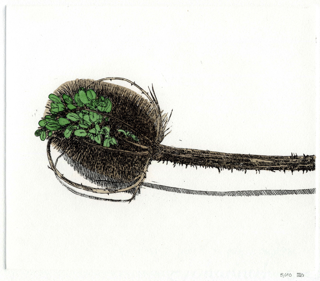 Delphine D. Garcia, 11.XI.13, 2013