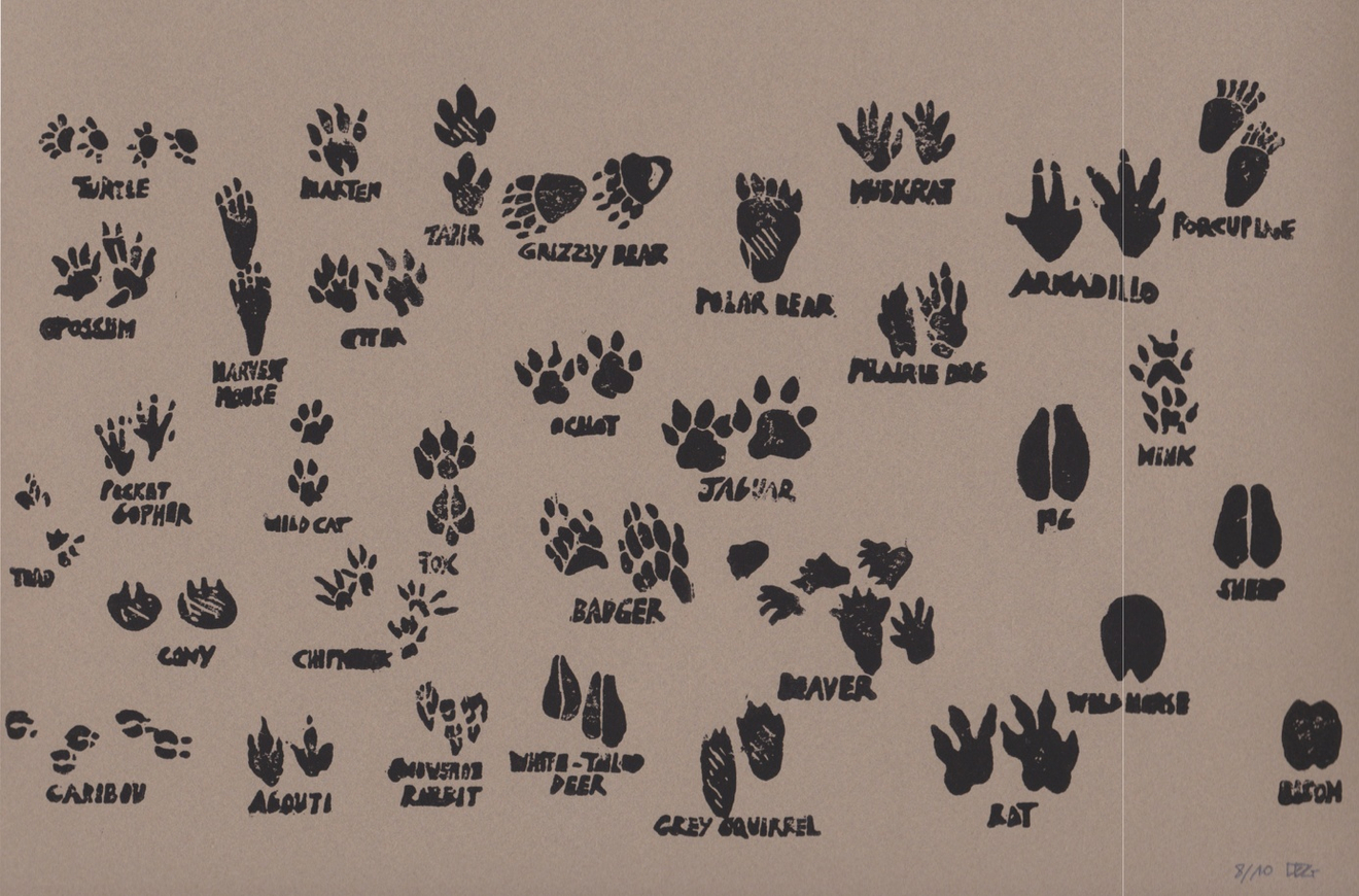 Delphine D. Garcia, 23.VI.16, 2016