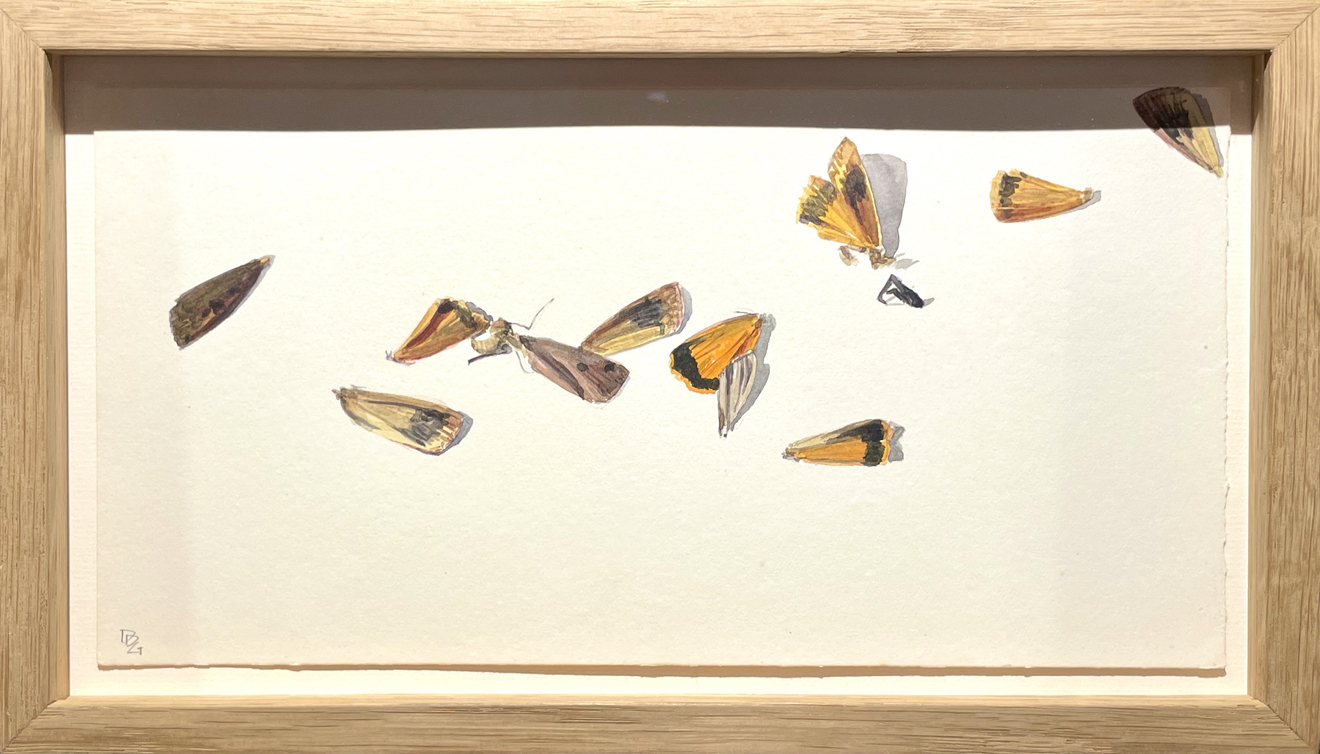 Delphine D. Garcia, 9.VI.20, 2020