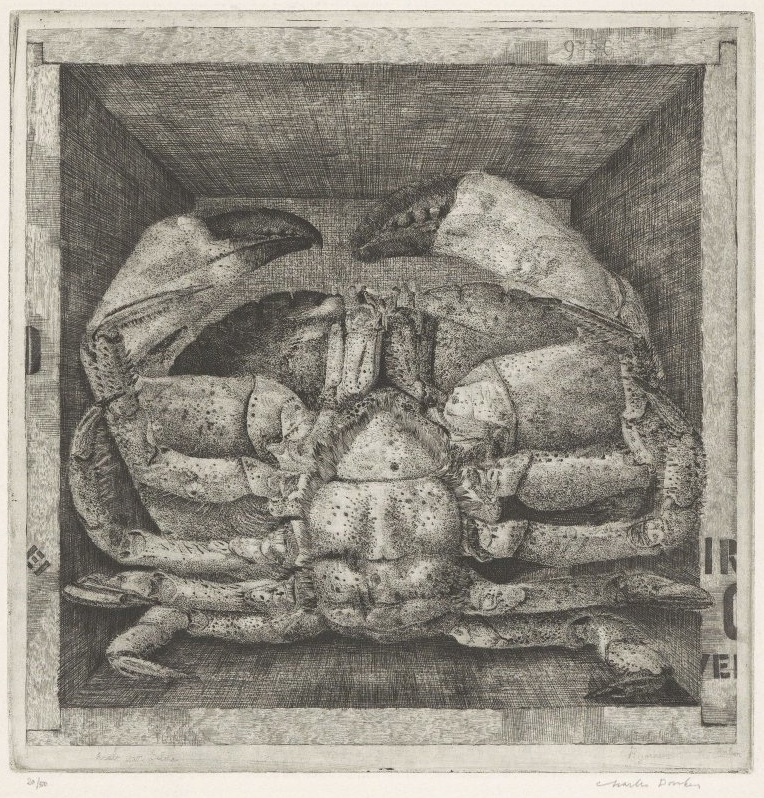 Charles Donker, Noordzeekrab in een kistje, 1971