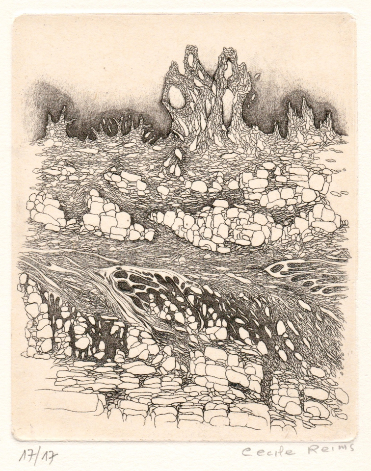 Cécile Reims, D'un lointain passé, 2017