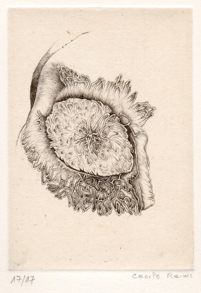 Cécile Reims, D'un lointain passé, 2017