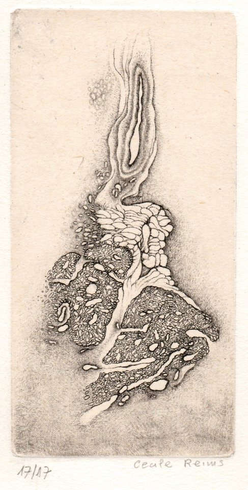 Cécile Reims, D'un lointain passé, 2017