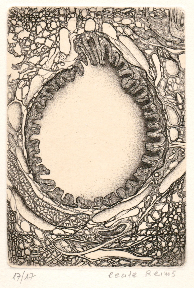 Cécile Reims, D'un lointain passé, 2017