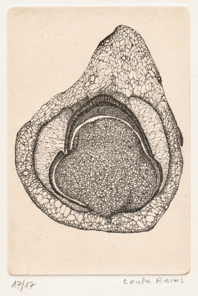 Cécile Reims, D'un lointain passé, 2017