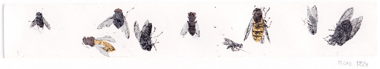 Delphine D. Garcia, 24.VI.13, 2013