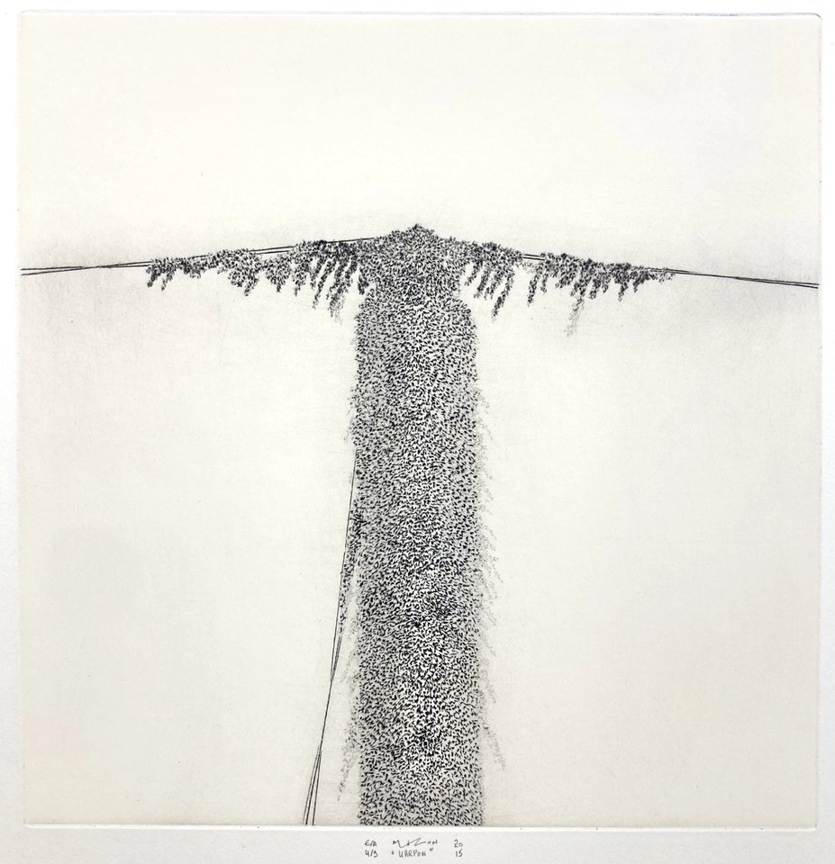 Jacques Muron, Harpon, 2015