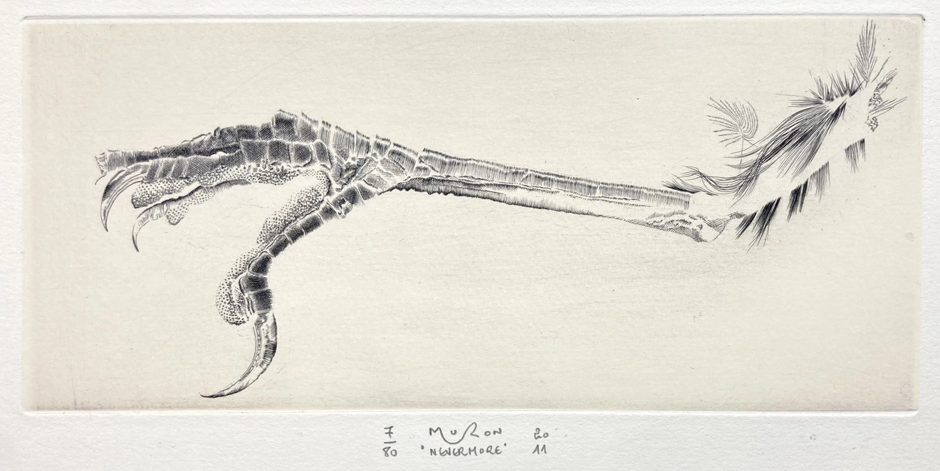 Jacques Muron, Nevermore, 2011