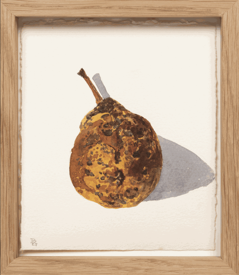 Delphine D. Garcia, 19.IX. 18, 2018