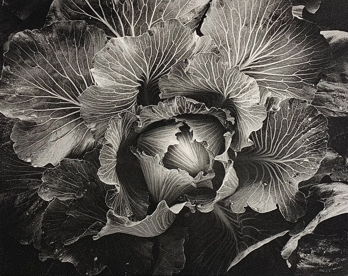 Jon Goodman, Chou d'Hadley // Leaning Tree // L'incendie du Chateau de La Sarraz, 1985 - 2002