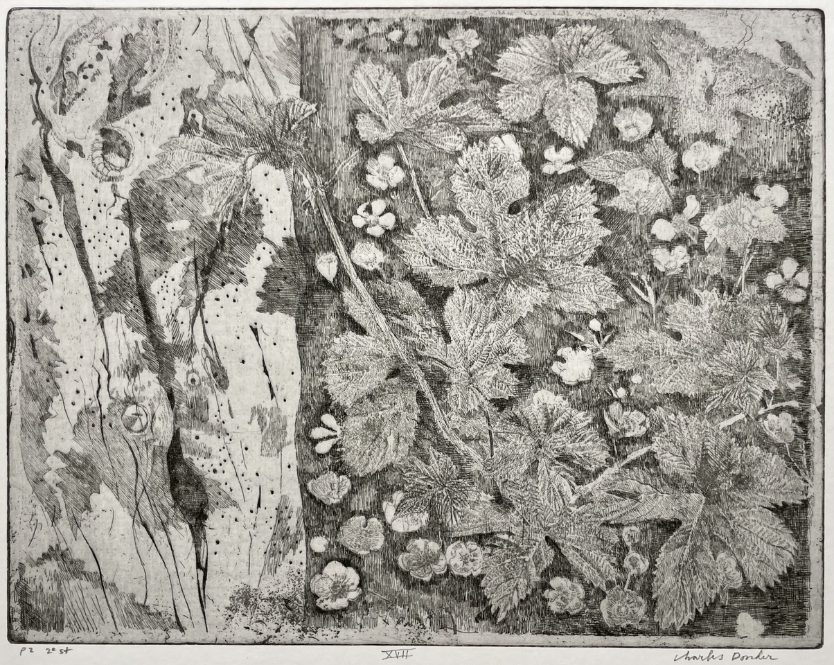 Charles Donker, Hop XVII (Vlierstam Boterbloemen), 2023