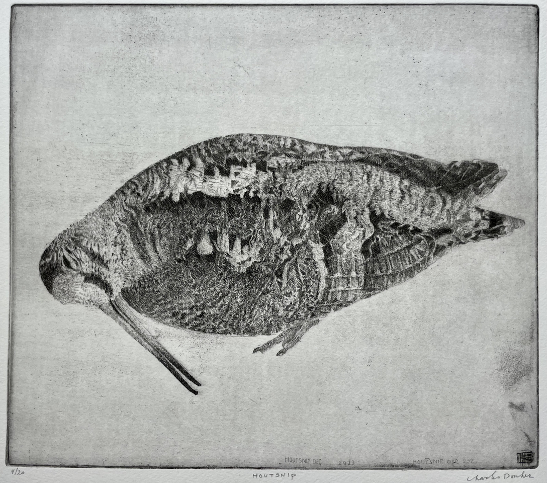 Charles Donker, Houtsnip VI, 2023