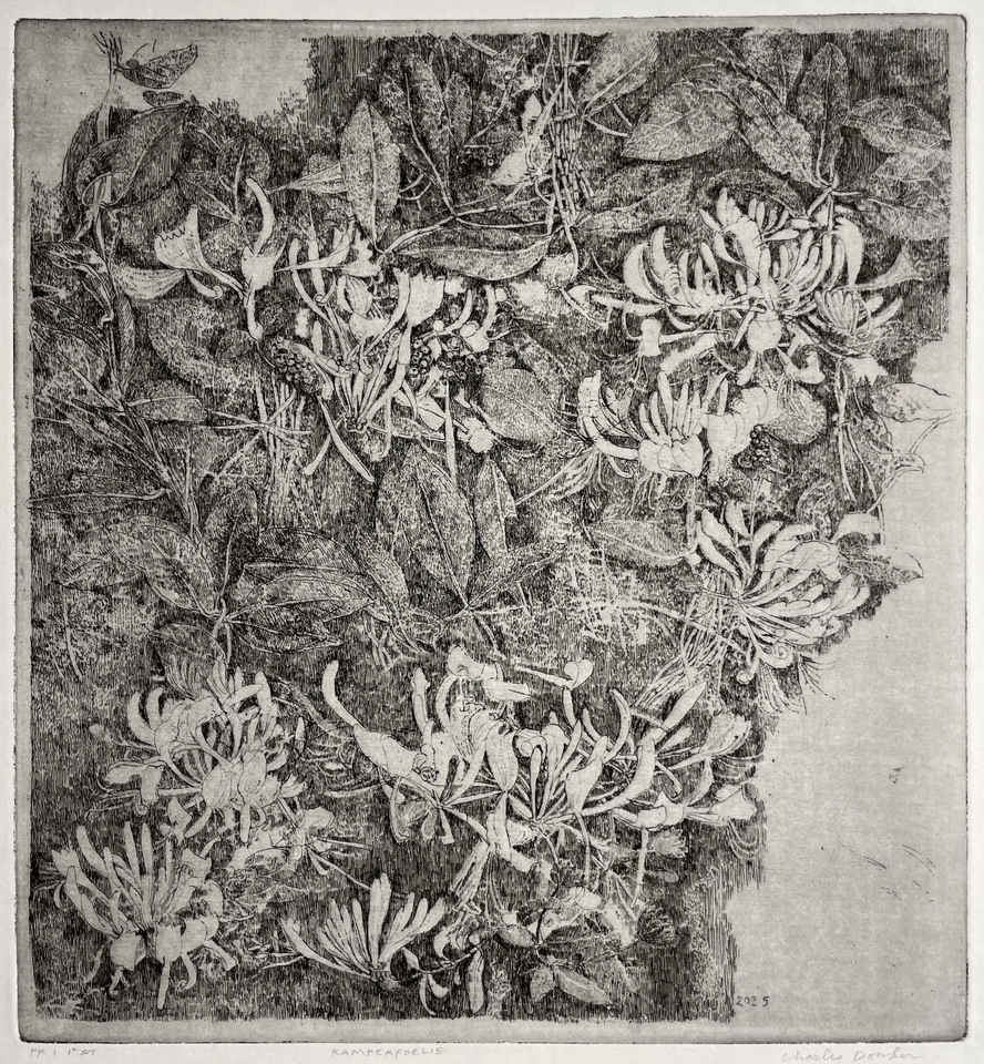 Charles Donker, Kamperfoelie, 2025