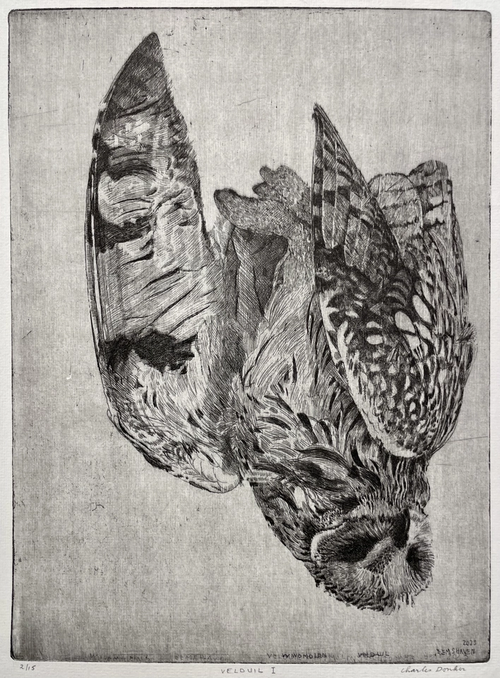 Charles Donker, Velduil I (Windmolen Eemshaven), 2023