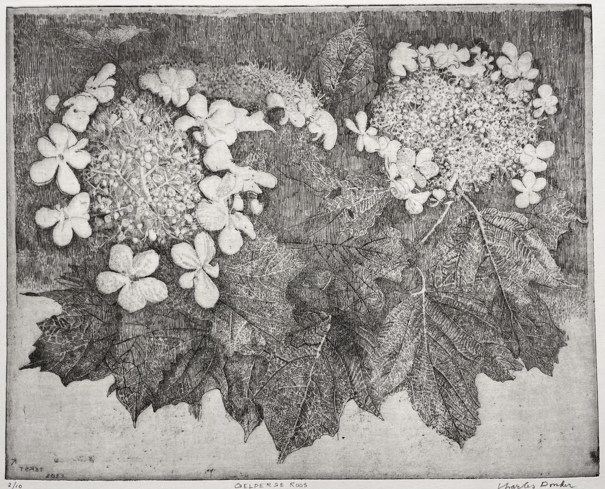 Charles Donker, Gelderse Roos, 2025