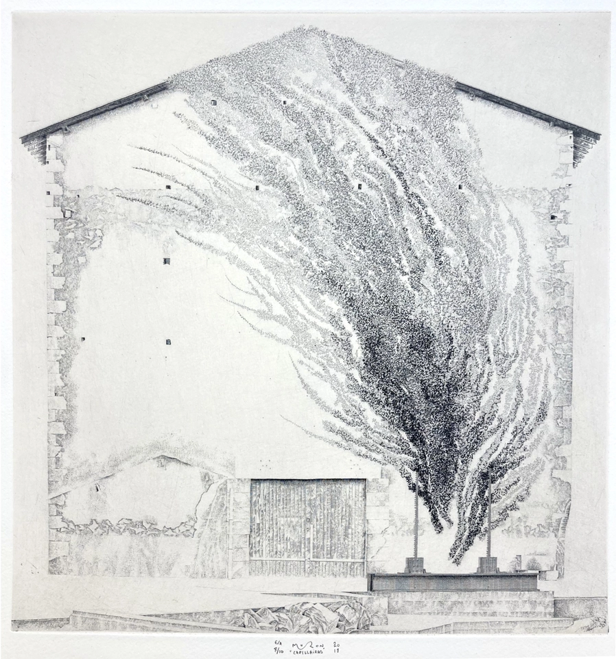 Jacques Muron, Capillaires, 2018