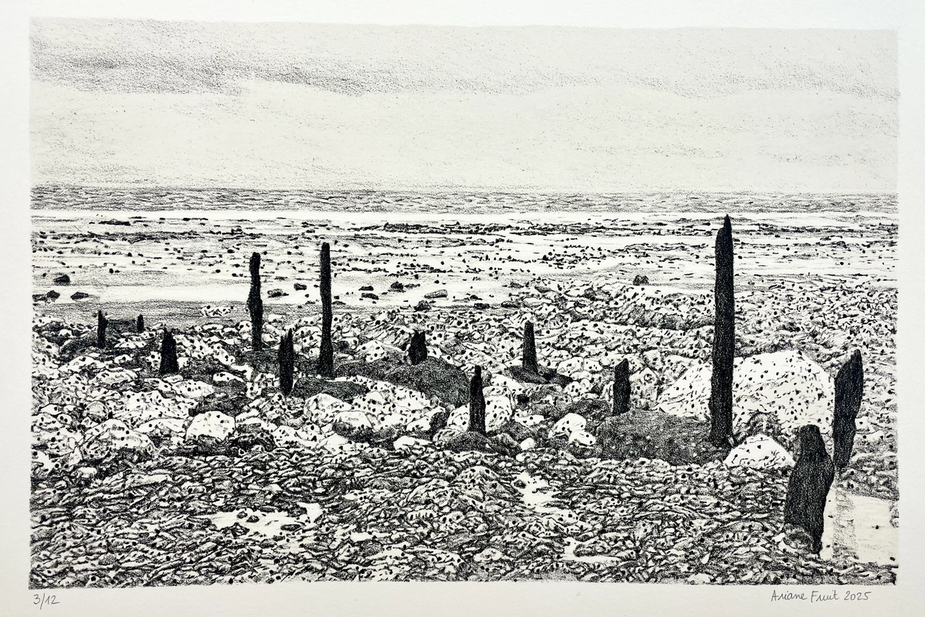 Ariane Fruit, MARRÉE BASSE # 4, 2025