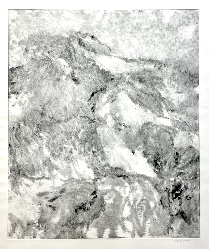 Martin Basdevant, Paysage de montagne , 2026