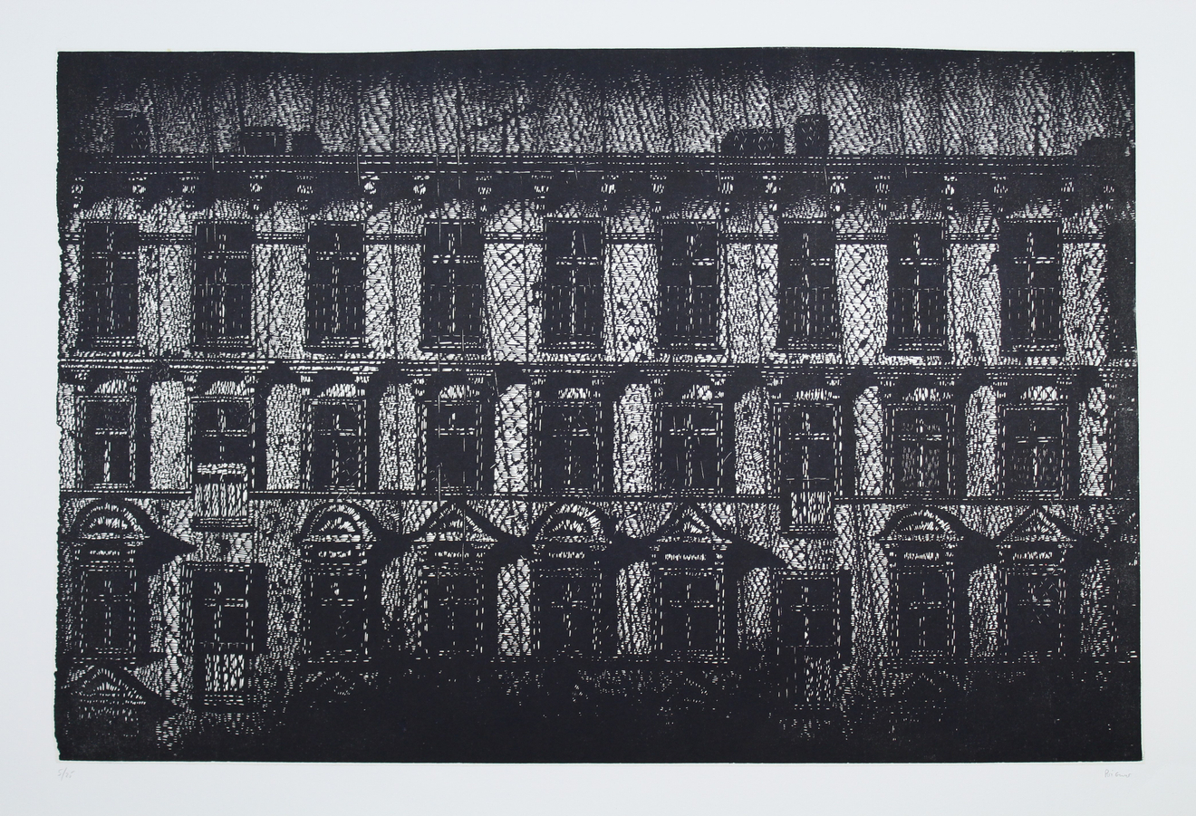 Nicolas Poignon, Nocturne-Facade, 2010