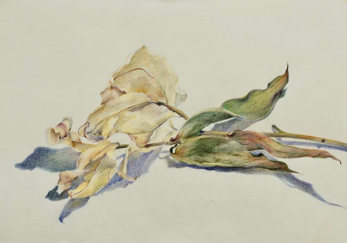 Marjan SEYEDIN - "Fleurs" - #1, 2020