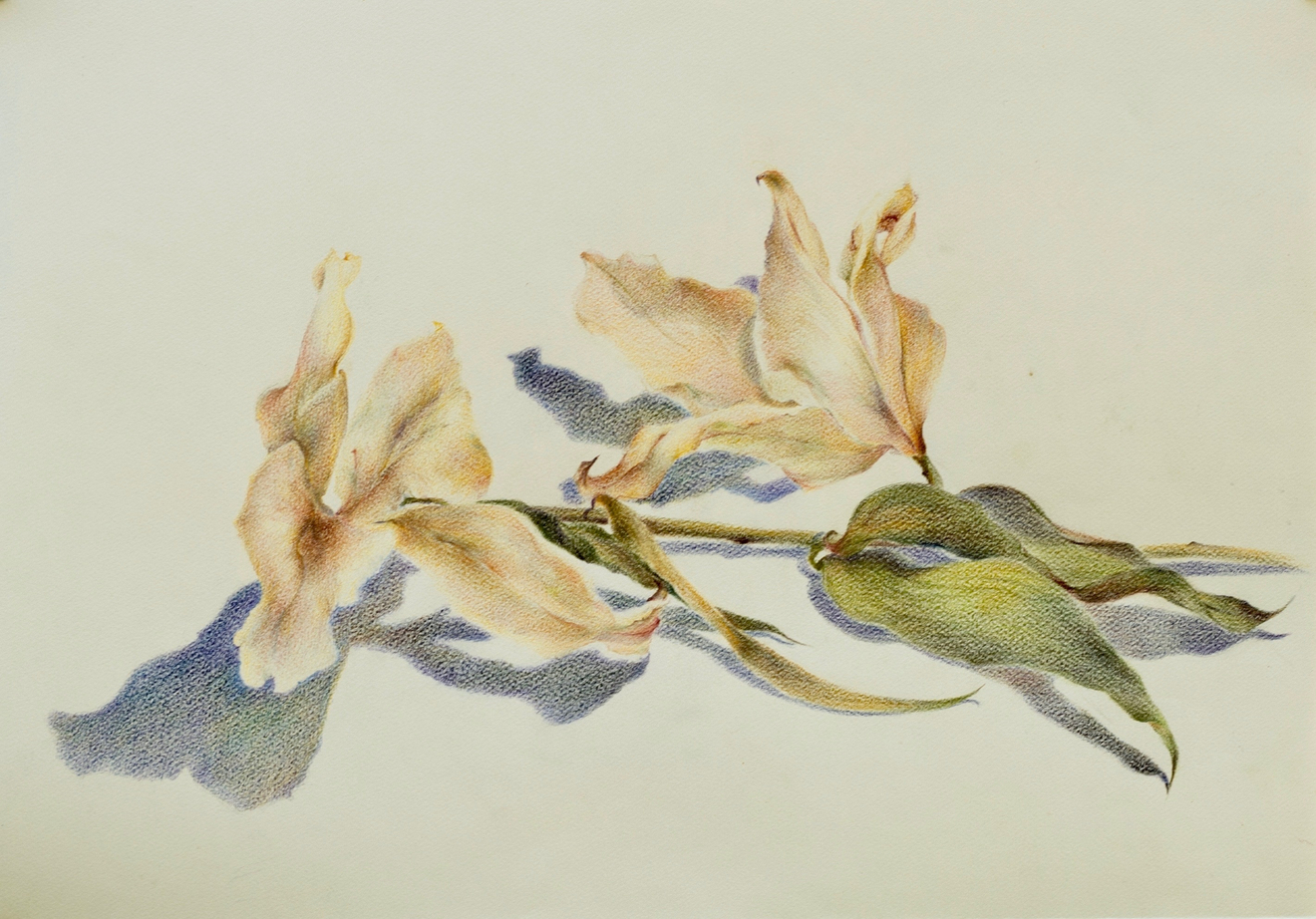 Marjan SEYEDIN - "Fleurs" - #2, 2020