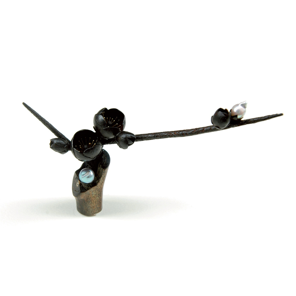 Kimiaki Kageyama : Still Flowers