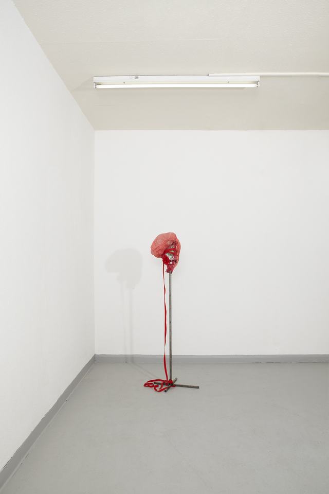 Jesse Darling, Bust, 2014