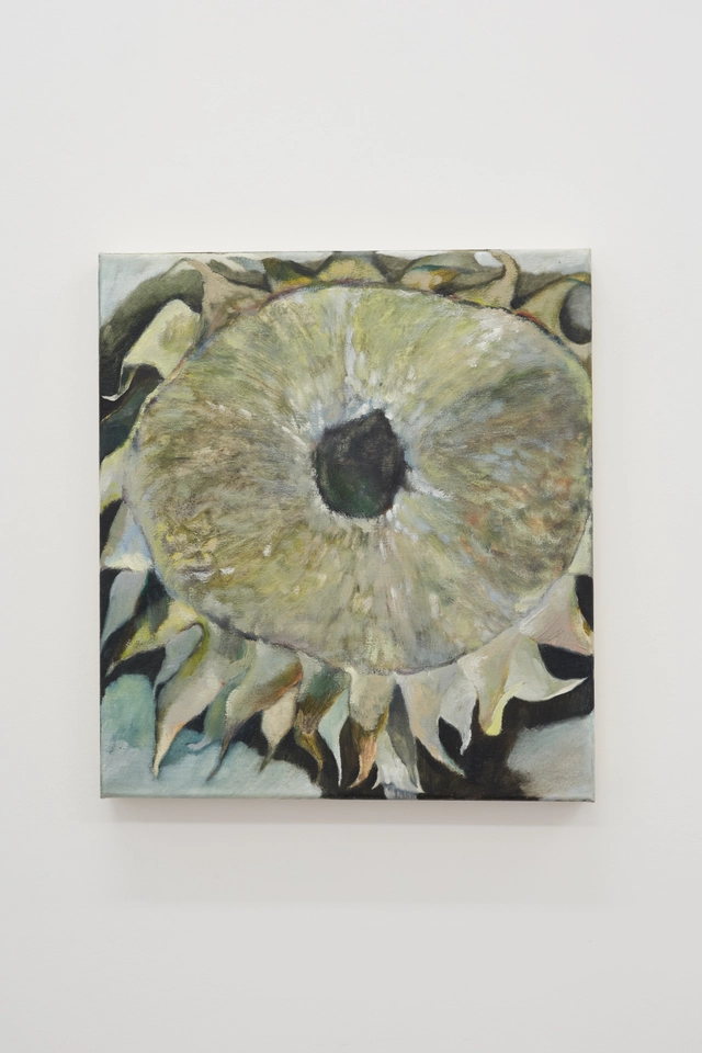 Lexia Hachtmann, September, 2025