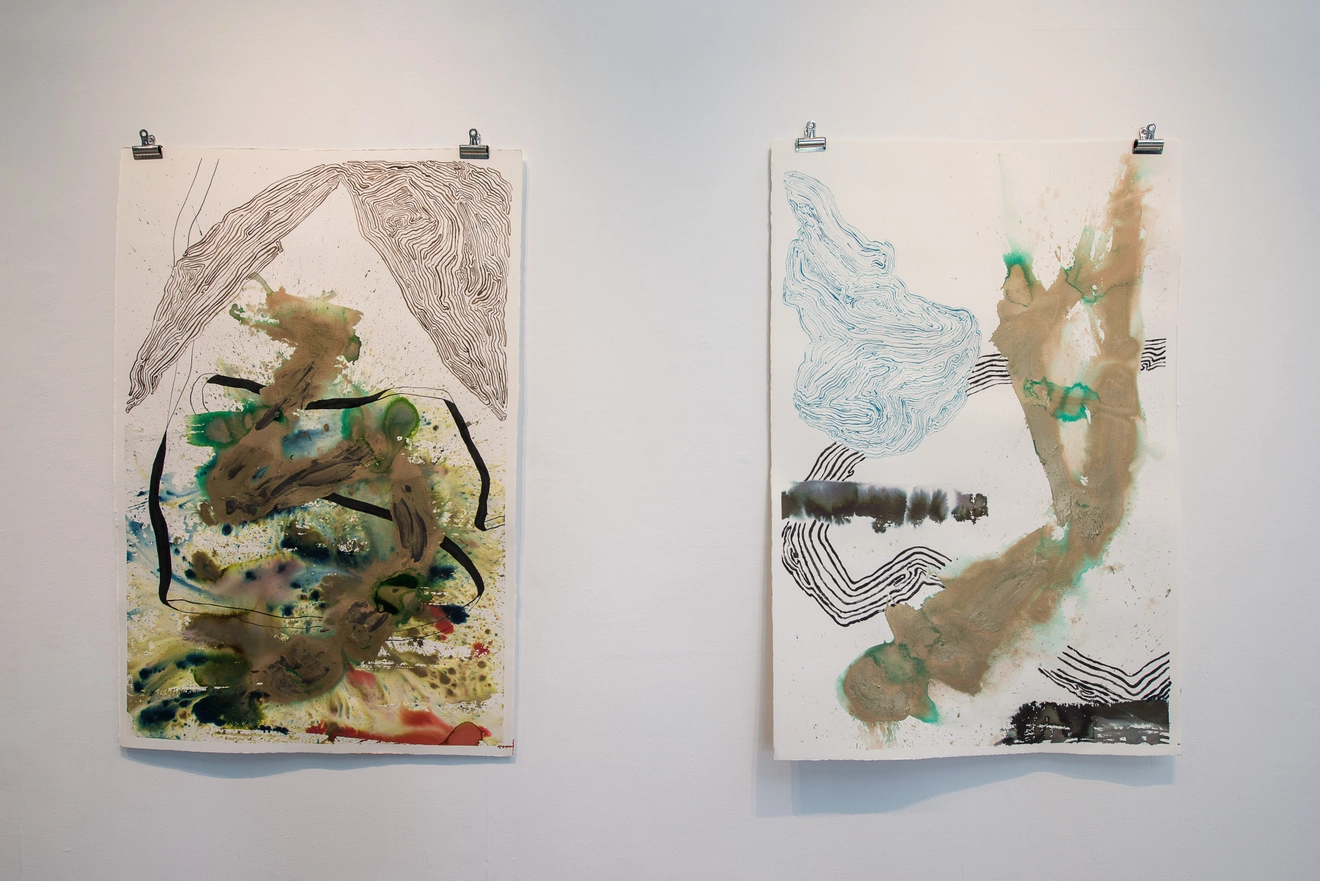 Narcisissim of Minor Differences (V) and (II)