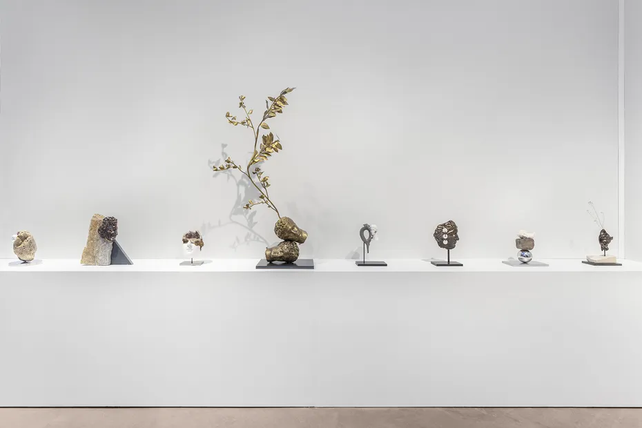 &copy; Nicolas Brasseur