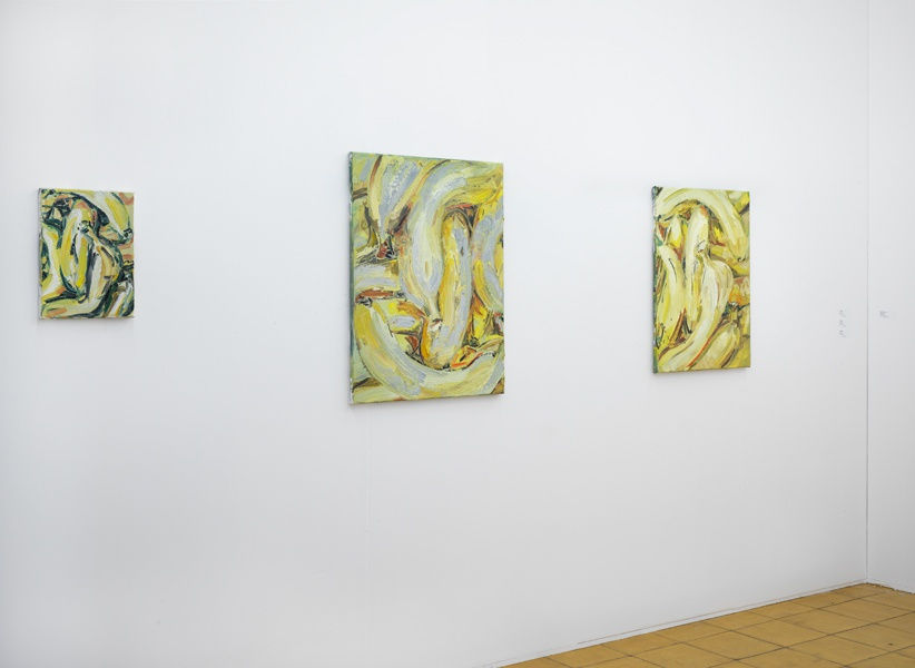 Installation view, Art Rotterdam 2017, Solo booth by Wieske Wester