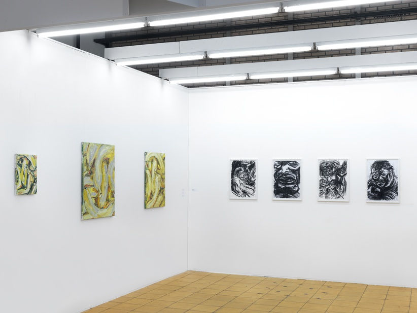 Installation view, Art Rotterdam 2017, Solo booth by Wieske Wester