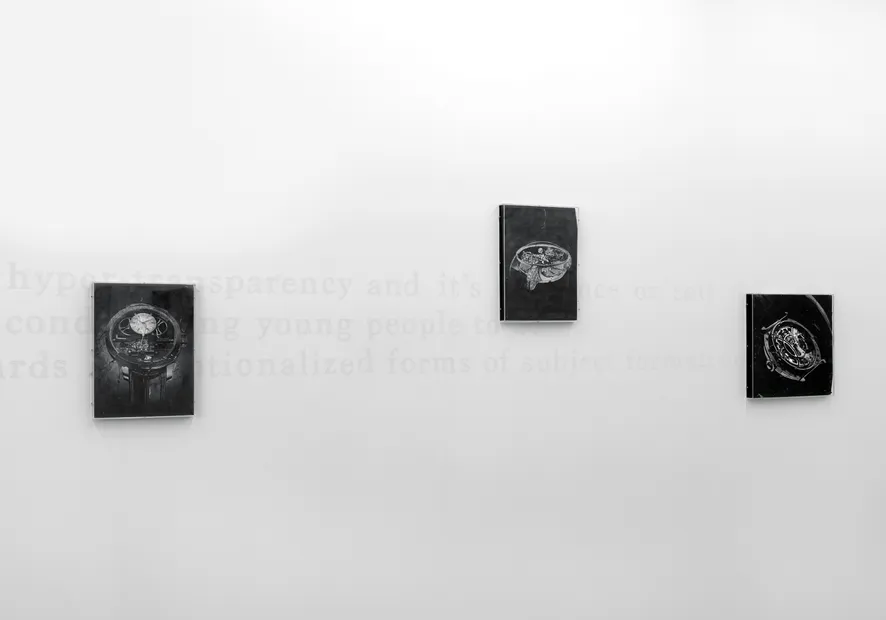 Installation view, Art Rotterdam 2016, Solo booth by Lennart Lahuis