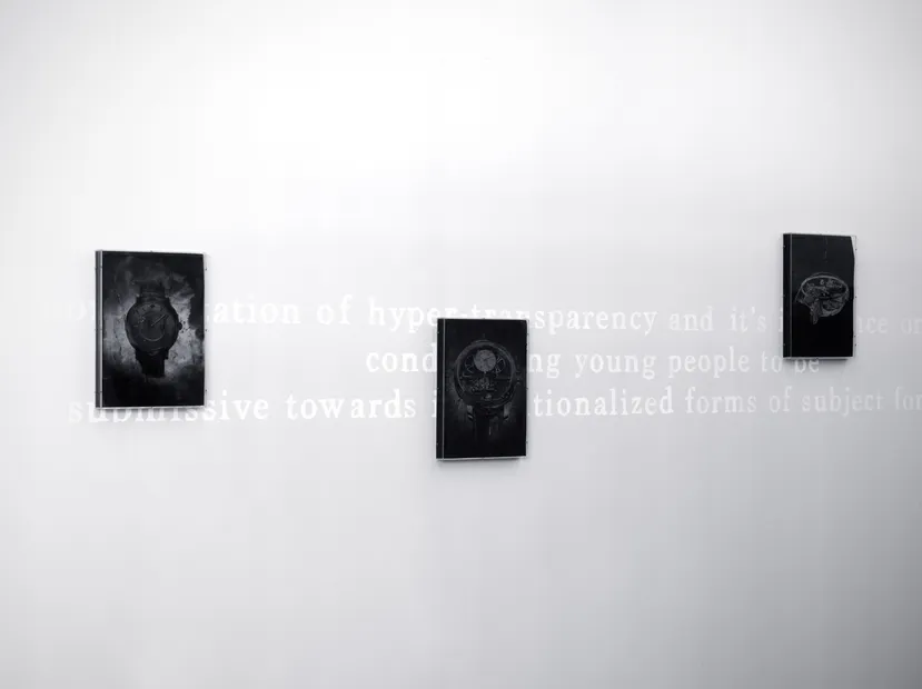 Installation view, Art Rotterdam 2016, Solo booth by Lennart Lahuis