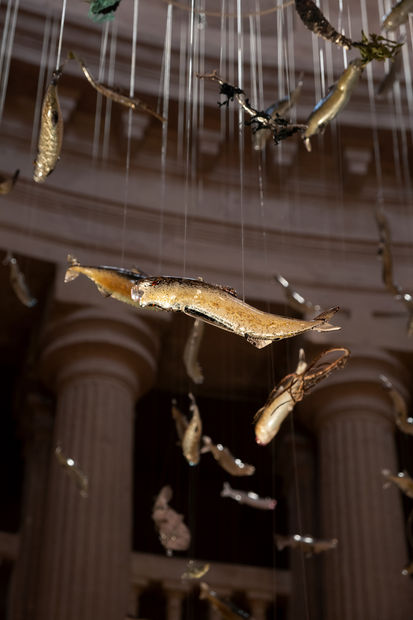 Photos Sophia El Mir - ARTER