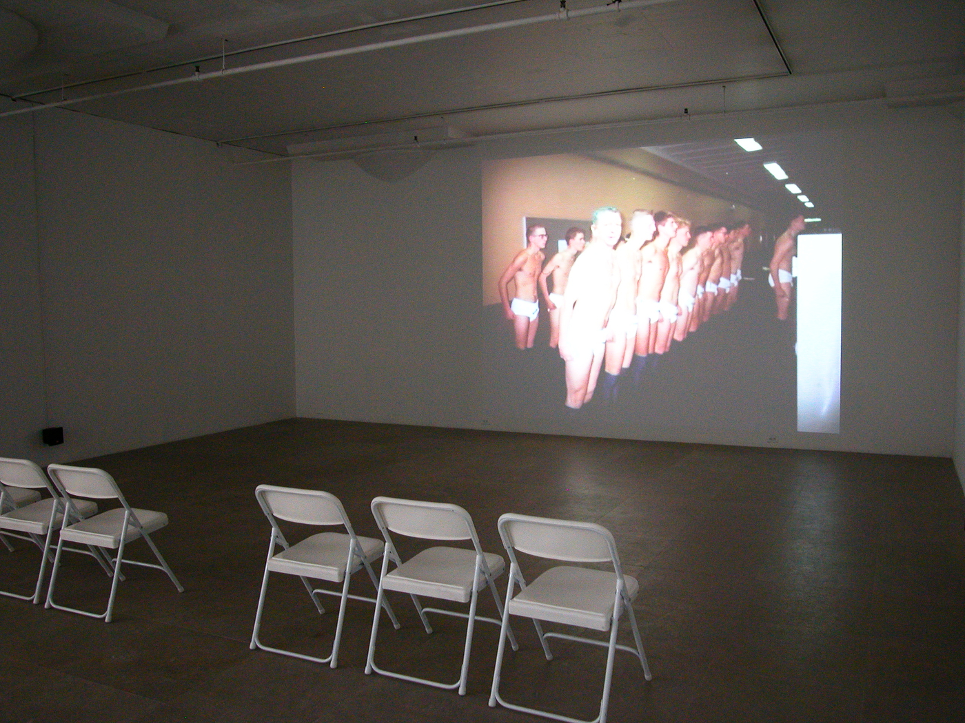 Paul Chan, Tin Drum Trilogy (Screening), Greene Naftali, New York, 2006
