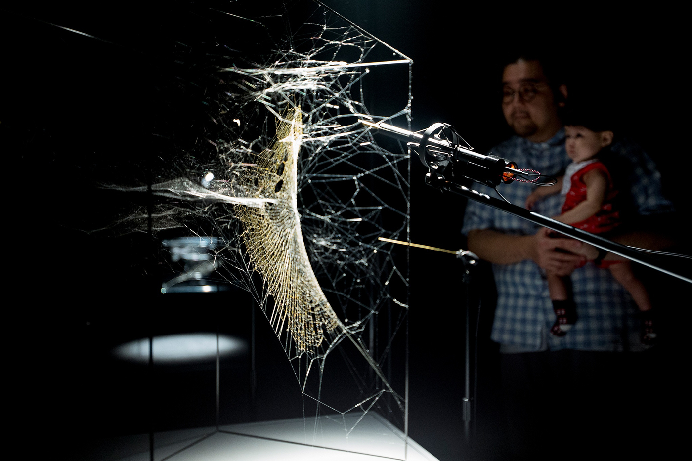 15Sgp Singapur 01869