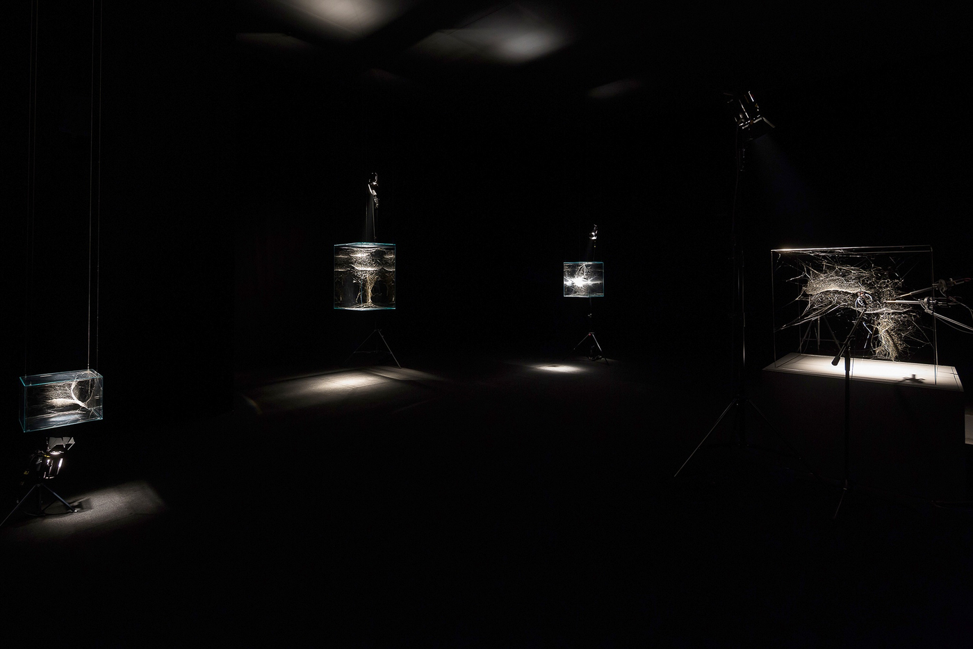 15Sgp Singapur 02285