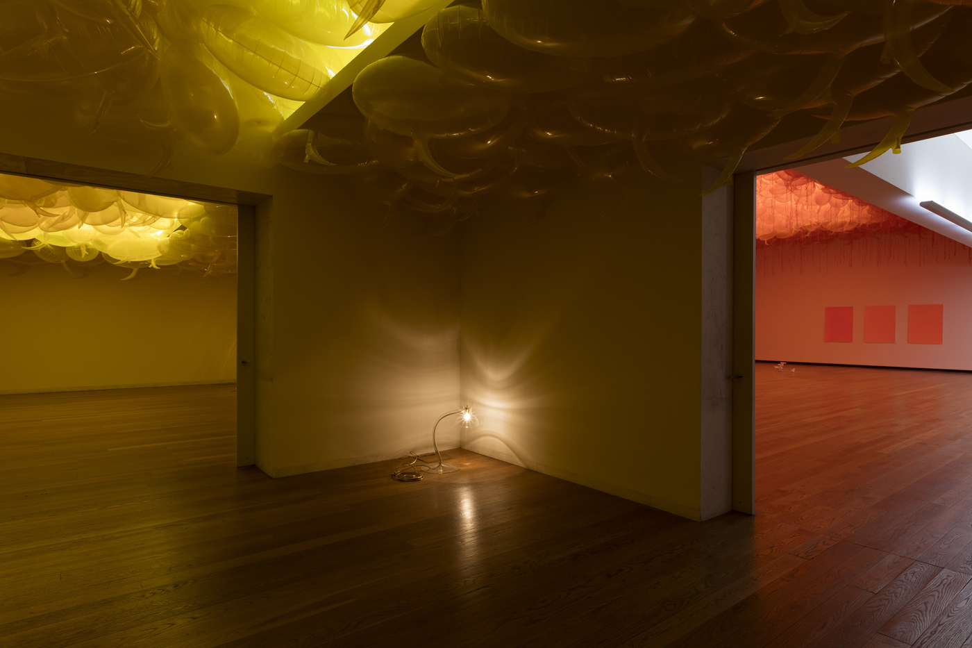 2017 Pp Serralves 045