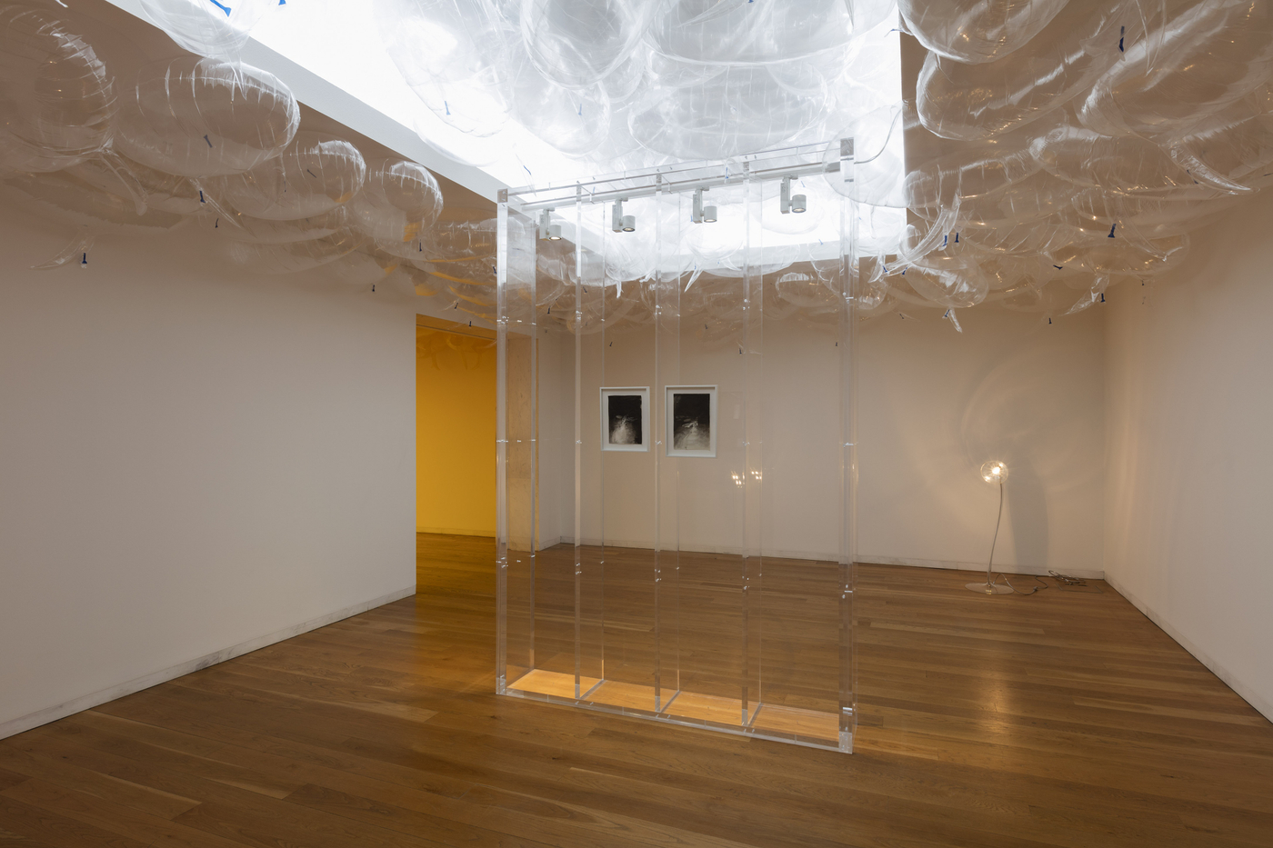 2017 Pp Serralves 051