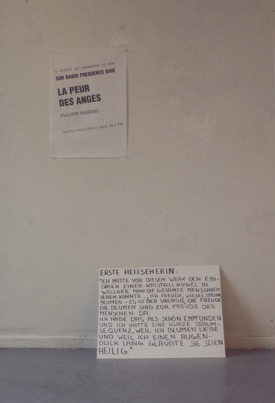 14 Pp Pl Doyer La Peur 1993 2