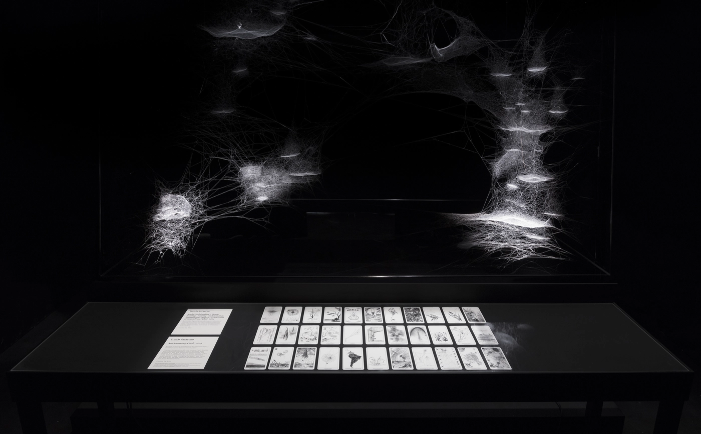 2019 Venice Biennale Ts640 16