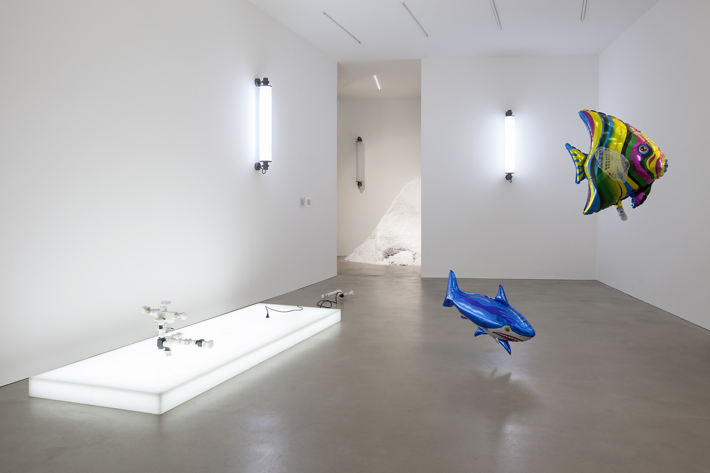 Pp218 Quasi Objects Es 2014 5