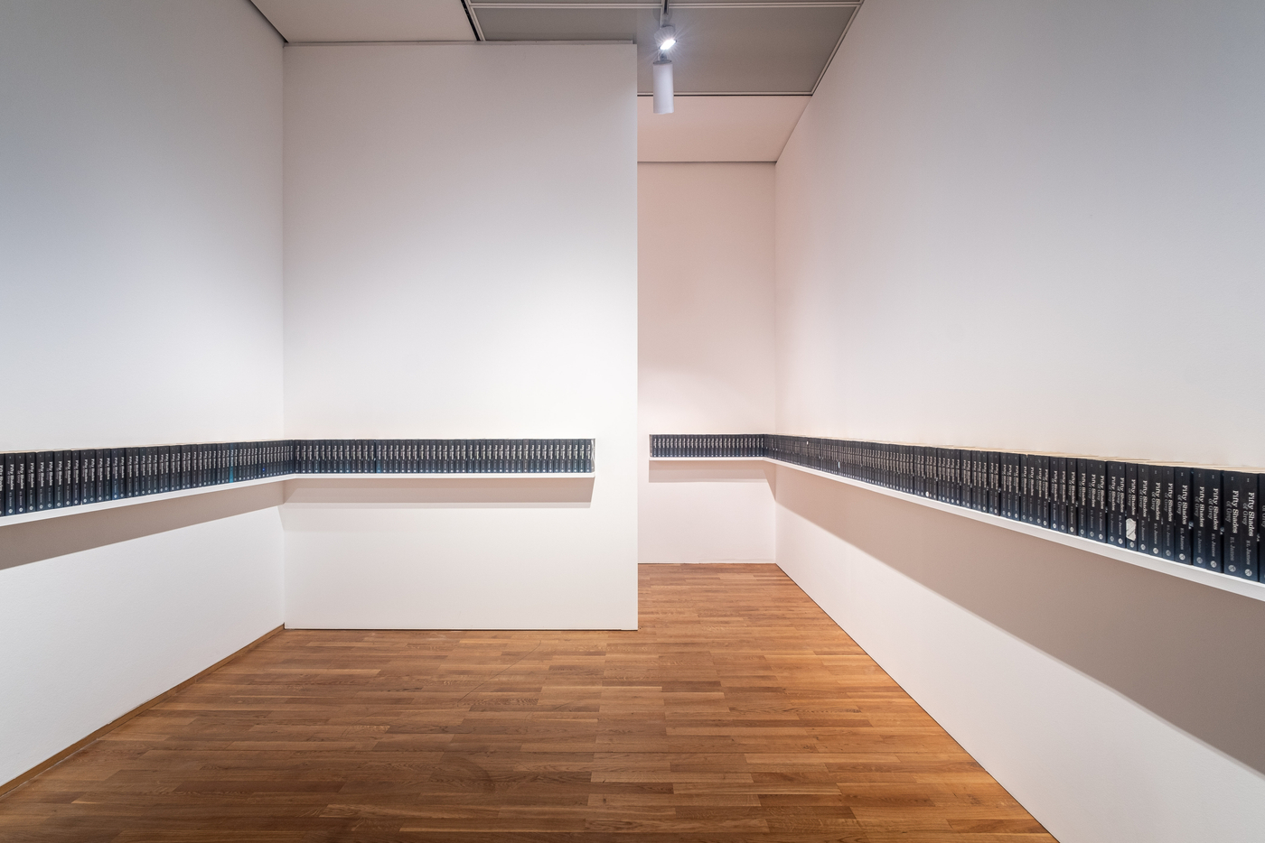 Png19 Installationsansichten Simonfujiwara Mathiasvo Lzke 16